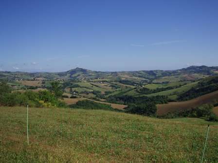  2012