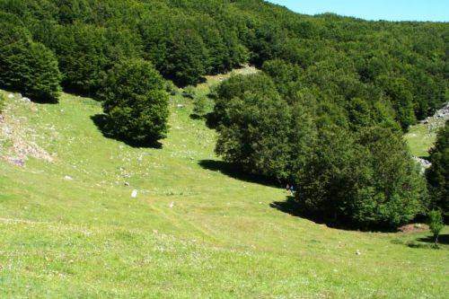 Foto offerta ECOMARATONA DELLE MADONIE, immagini dell'offerta ECOMARATONA DELLE MADONIE di Ovunque viaggi.