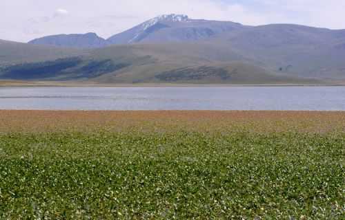 TREKKING IN MONGOLIA 2013