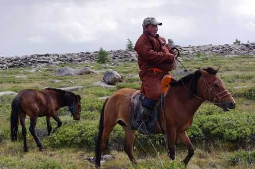 TREKKING IN MONGOLIA 2013