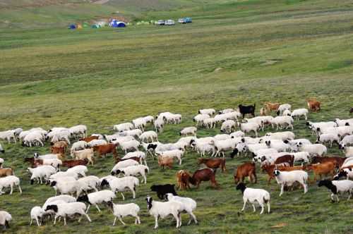 TREKKING IN MONGOLIA 2013