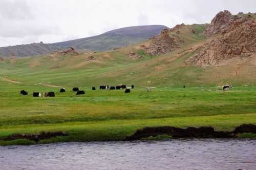 TREKKING IN MONGOLIA 2013