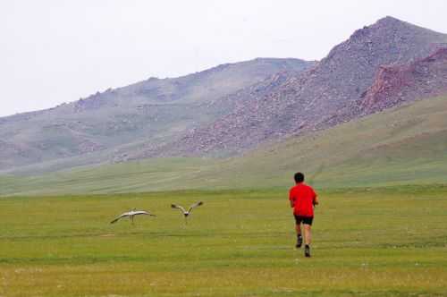 TREKKING IN MONGOLIA 2013