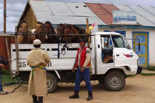 TREKKING IN MONGOLIA 2013