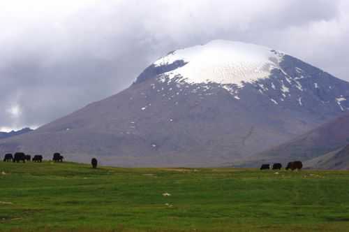 TREKKING IN MONGOLIA 2013