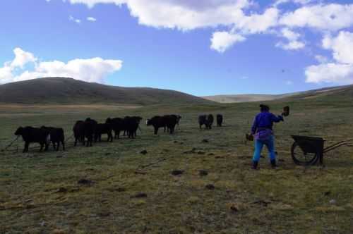 TREKKING IN MONGOLIA 2013