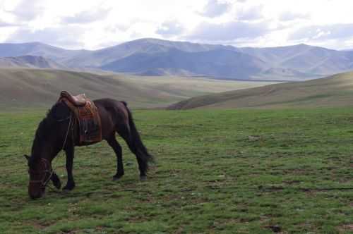 TREKKING IN MONGOLIA 2013