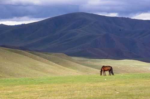 TREKKING IN MONGOLIA 2013