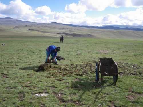 TREKKING IN MONGOLIA 2013