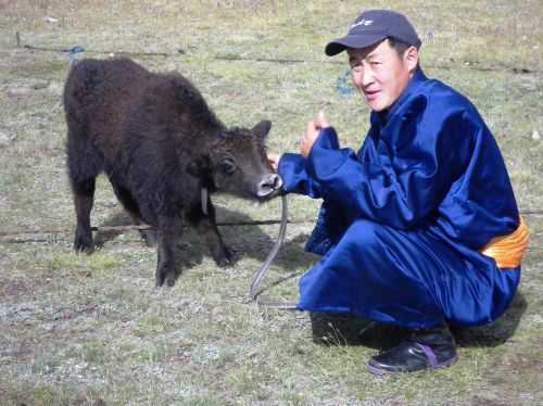 TREKKING IN MONGOLIA 2013