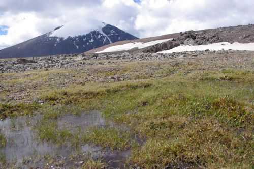 TREKKING IN MONGOLIA 2013