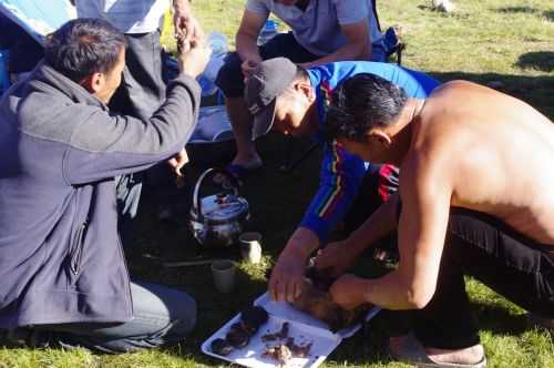 TREKKING IN MONGOLIA 2013