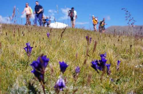 TREKKING IN MONGOLIA 2013