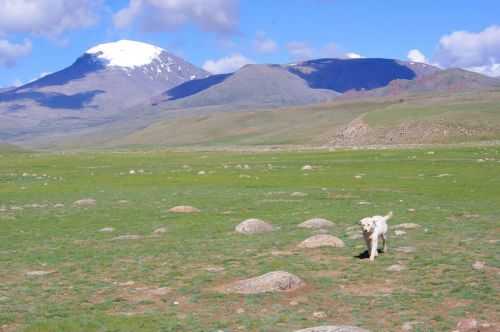 TREKKING IN MONGOLIA 2013