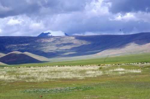 TREKKING IN MONGOLIA 2013