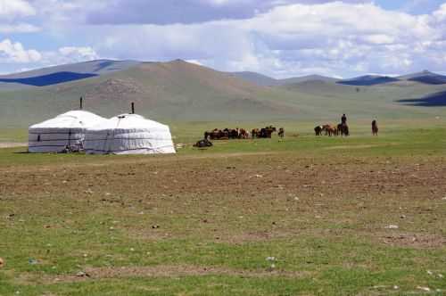 TREKKING IN MONGOLIA 2013