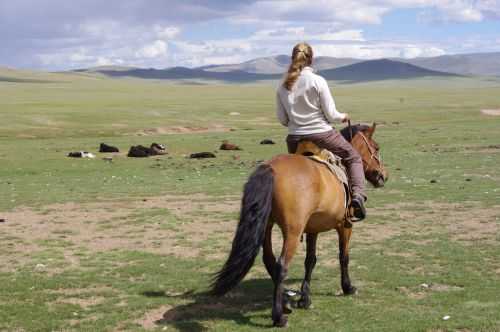 TREKKING IN MONGOLIA 2013