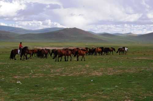 TREKKING IN MONGOLIA 2013