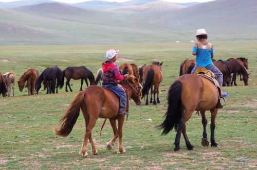 TREKKING IN MONGOLIA 2013