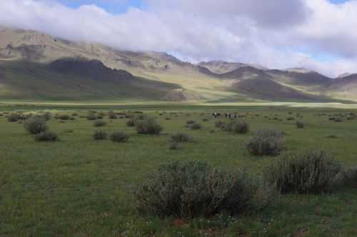 TREKKING IN MONGOLIA 2013