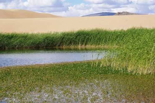 TREKKING IN MONGOLIA 2013