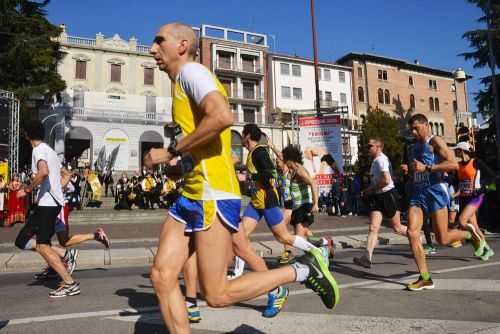 TREVISO MARATHON 1.1 2013