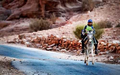 PETRA DESERT MARATHON 2015