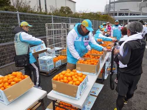 MARATONA DI TOKYO 2016 | 42K 2015