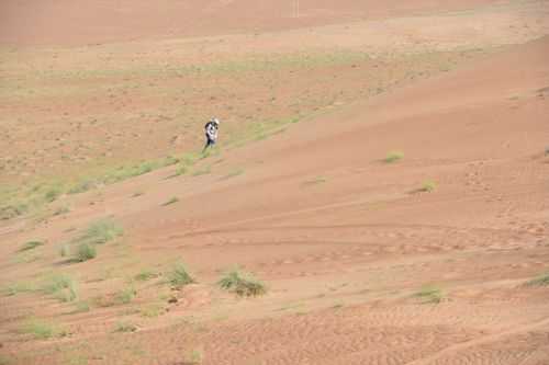 OMAN DESERT MARATHON | 165K 2016