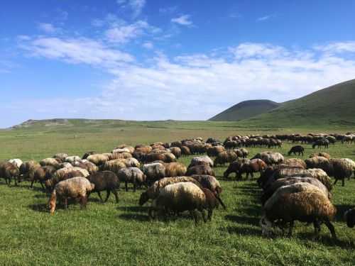 TREKKING IN ARMENIA 2016