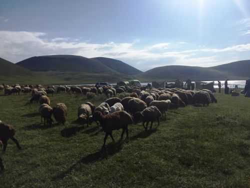 TREKKING IN ARMENIA 2016