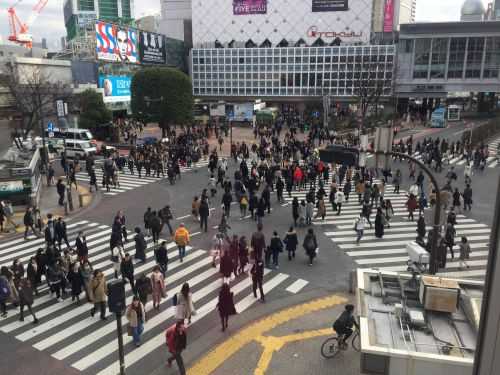 MARATONA DI TOKYO 2017 | 42K 2017