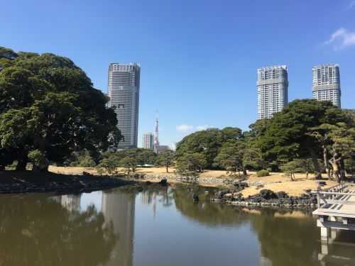 MARATONA DI TOKYO 2017 | 42K 2017