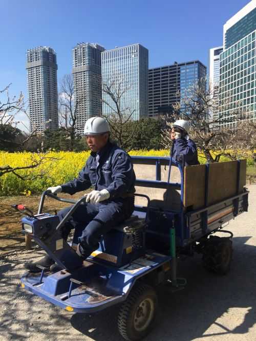 MARATONA DI TOKYO 2017 | 42K 2017