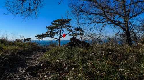 Foto offerta S1 LA CORSA DELLA BORA | 8K,21K,57K,164K, immagini dell'offerta S1 LA CORSA DELLA BORA | 8K,21K,57K,164K di Ovunque viaggi.